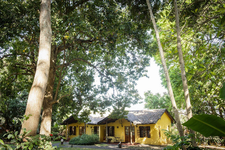 Room 4, Rivertrees Country Inn, Meru