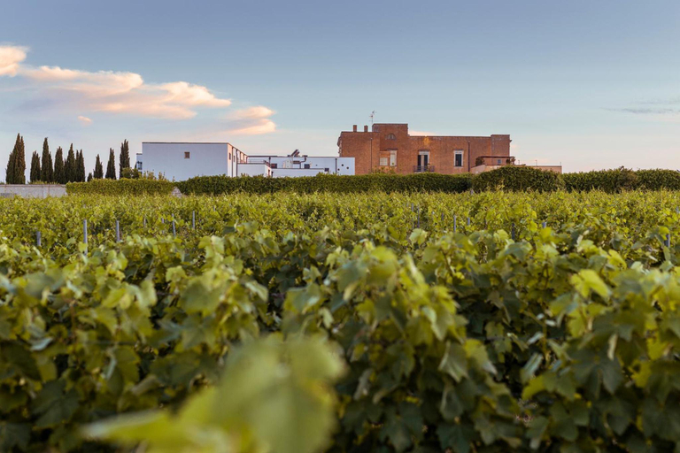 General view 5, Tenuta Giardini Nuovi, Lecce