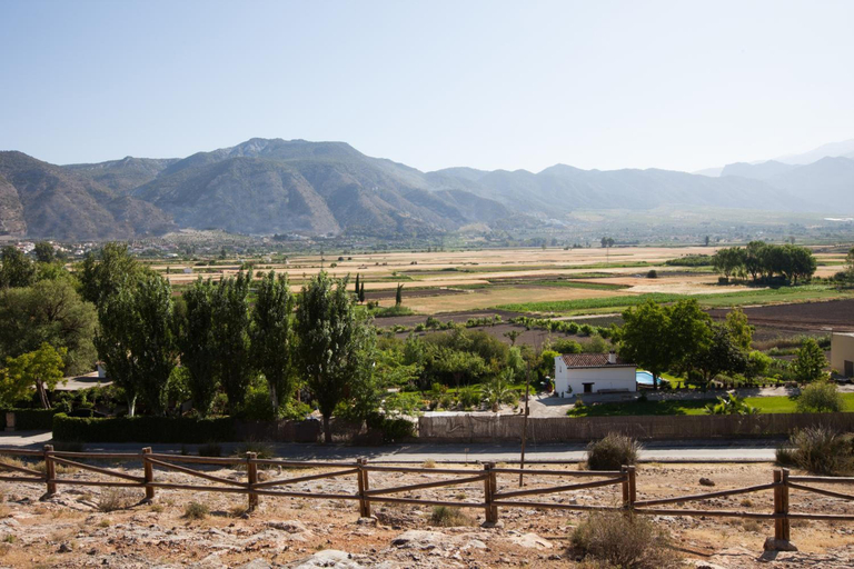 General view 5, Alojamiento Los molinos de Padul, Granada