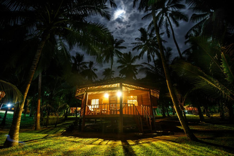 General view 4, Palm Paradise Cabanas Ltd, Tangalle