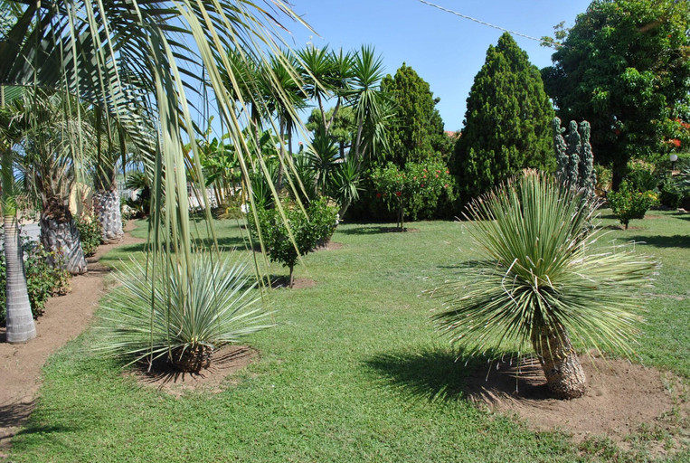 Public Area 3, Hotel Damanse, Vibo Valentia