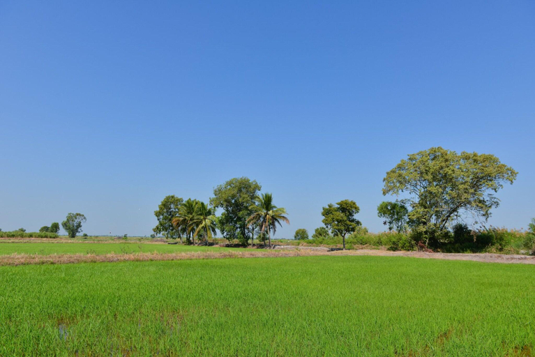 Terrace 5, Sappaya Hotel by Lotus Valley Golf Resort, Bang Nam Prieo