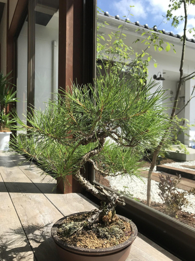 Public Area 3, cafe & stay CASTANA, Matsumoto