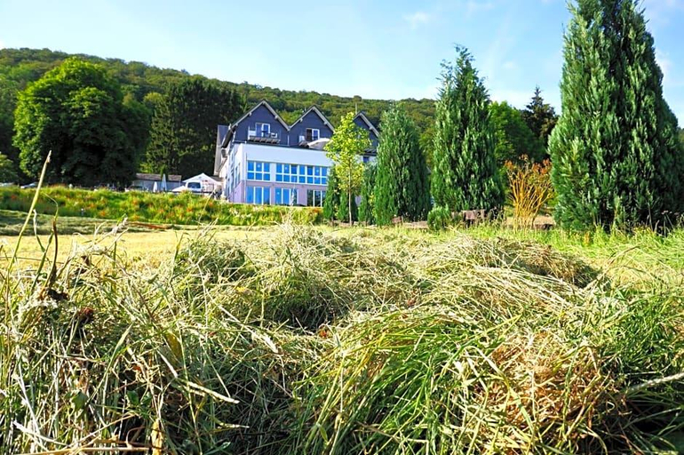 Exterior & Views 2, WaldSchinkenwirt, Hochsauerlandkreis