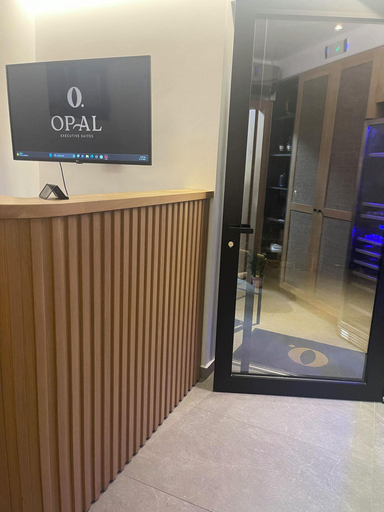 Public Area 2, Opal Executive Suites, Peloponnese