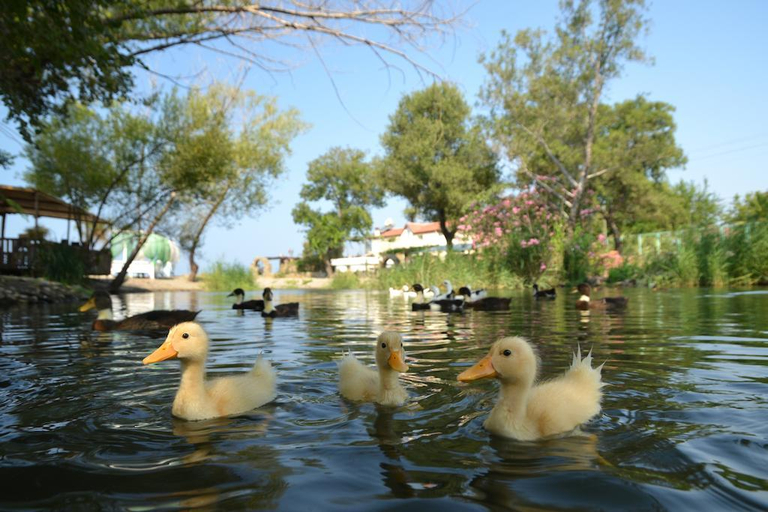 General view 3, Yonca Lodge, Fethiye