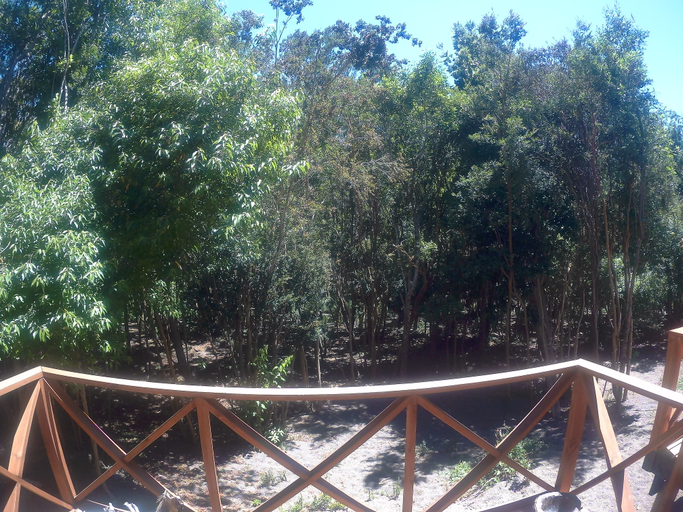 Others 4, Cabañas Ensenada Bosque Nativo, Llanquihue