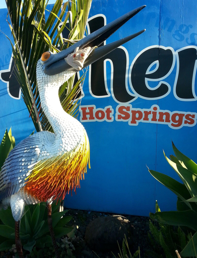 Public Area, Athenree Hot Springs & Holiday Park, Western Bay of Plenty