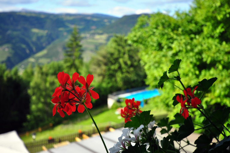 Exterior & Views 2, Bad St.isidor, Bolzano