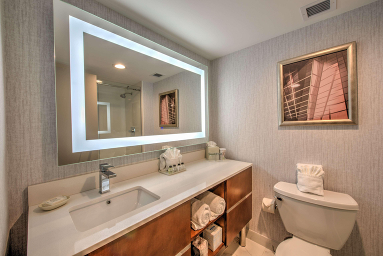 General view 3, DoubleTree by Hilton Houston Brookhollow, Houston