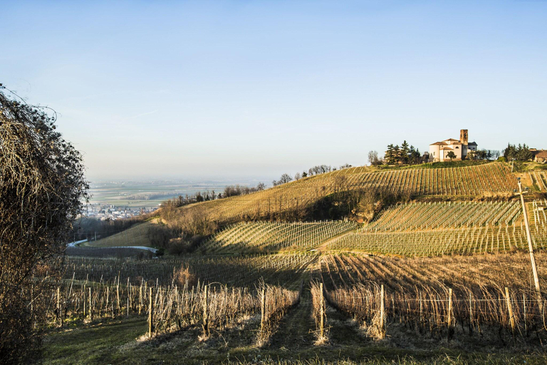 Room 2, 700Enolocanda, Pavia
