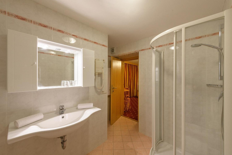 Bathroom 5, Ronce, Bolzano