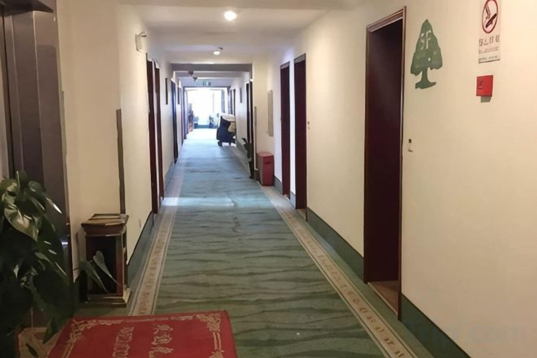 Others 3, Green Tree Alliance Hotel (Shanghai East Jinxiu Road), Shanghai