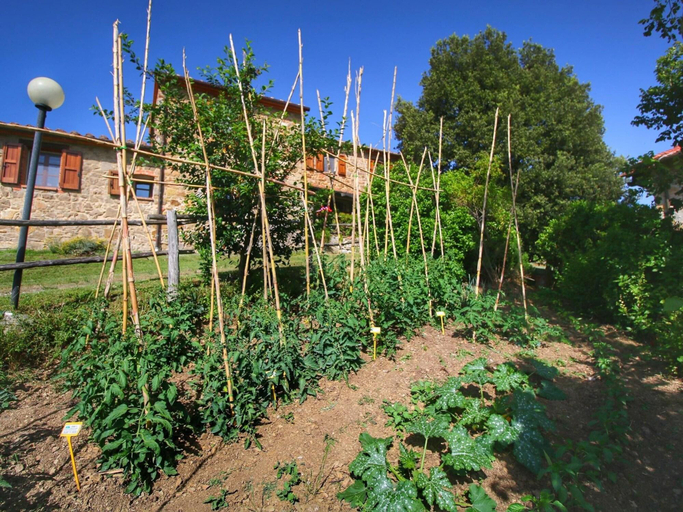 General view 5, Cozy Farmhouse In Paciano With Private Pool, Perugia