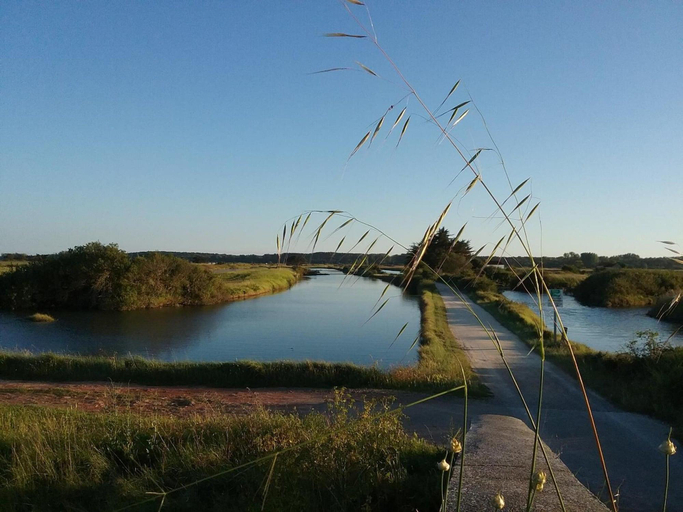 Exterior & Views 2, Eglantine et Chèvrefeuille, Vendée