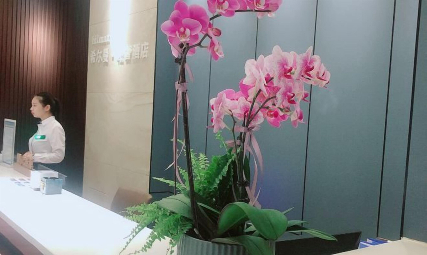 Others 1, Hillman Light Luxury Hotel (Yueyang Taiyangqiao Branch), Yueyang