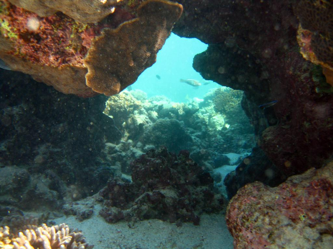 Exterior & Views 1, Ningaloo Coral Bay - Bayview, Carnarvon
