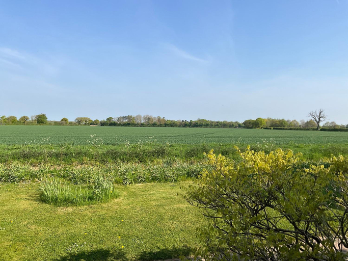 General view 5, Pheasant Suites, Essex