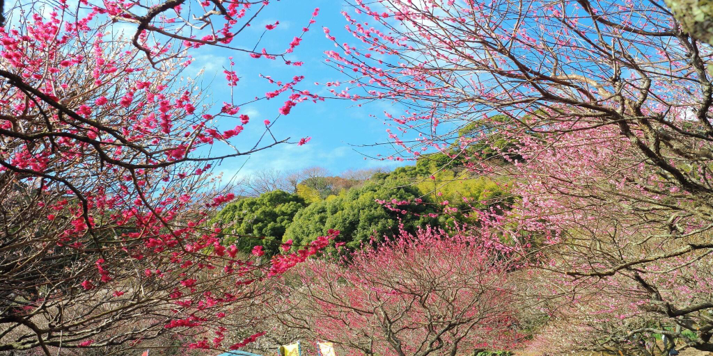 General view 3, Kanpo no Yado Atami, Atami