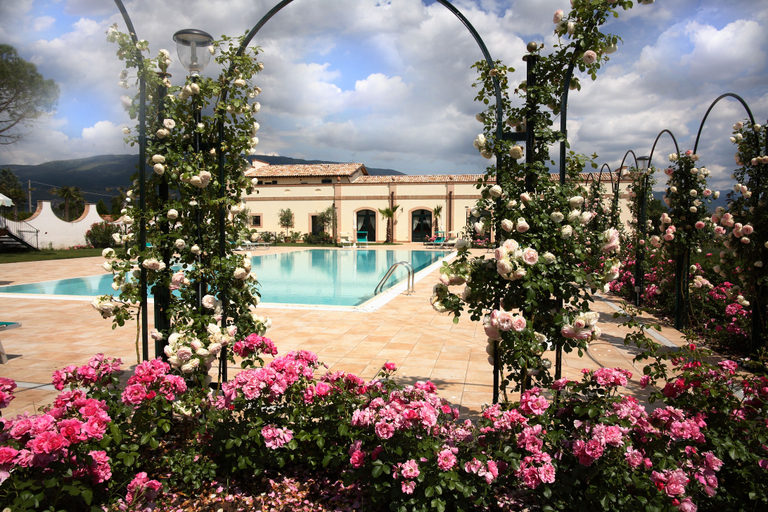 Pool 5, Villa Zuccari, Perugia