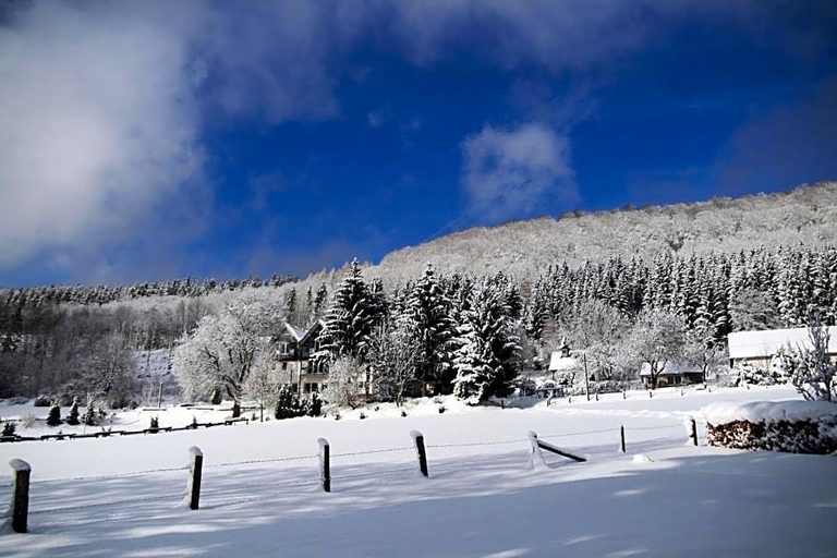 Public Area 3, WaldSchinkenwirt, Hochsauerlandkreis