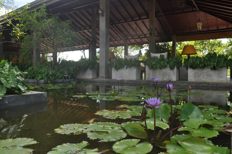 Public Area, Amaara Forest Hotel Sigiriya , Dambulla