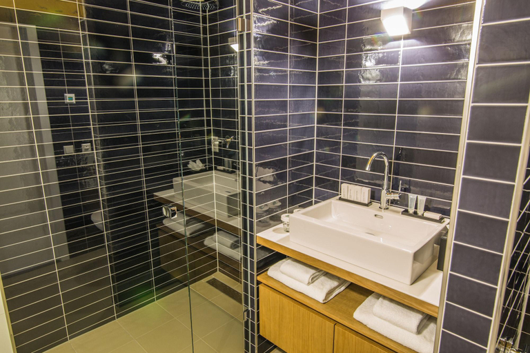Bathroom 5, Apartments De Hallen, Amsterdam