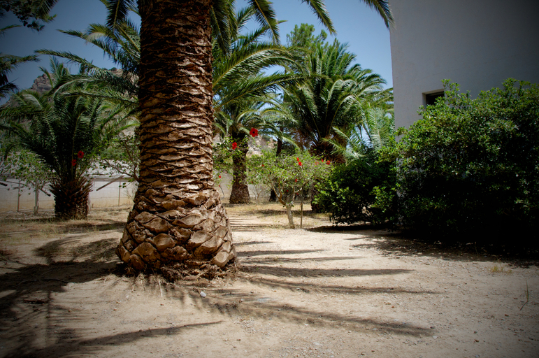 General view 3, Avra Palm, Crete