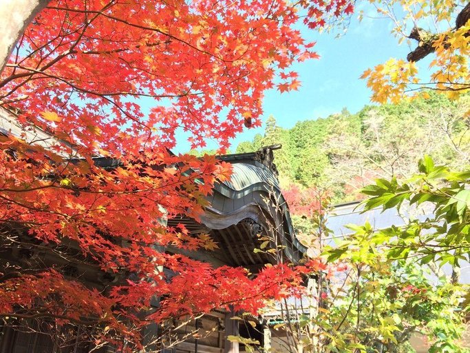 General view 4, Henjokoin, Kōya