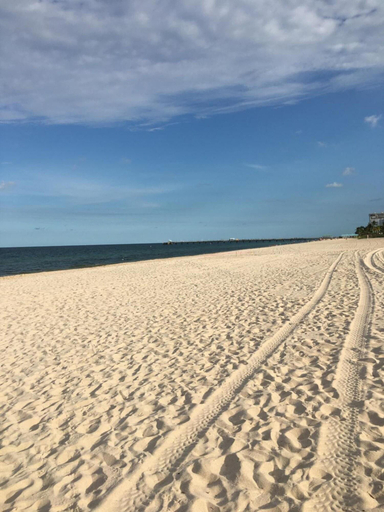 Beach 3, Dee Jay Beach Resort, Broward