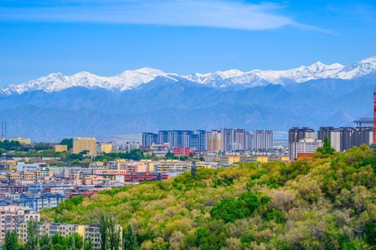 Others 5, Xinmei Hotel (Urumqi Hongshan Branch), Ürümqi