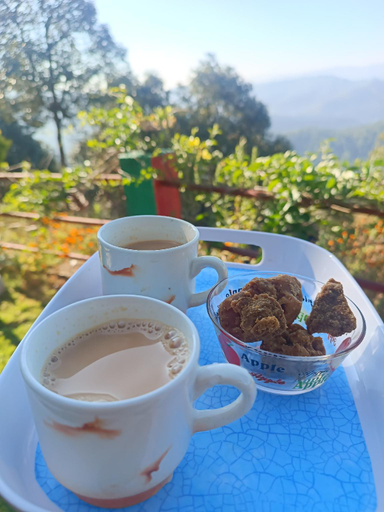 Food & Drinks 4, Binsar Jungle House HomeStay "A Nature Retreat", Almora