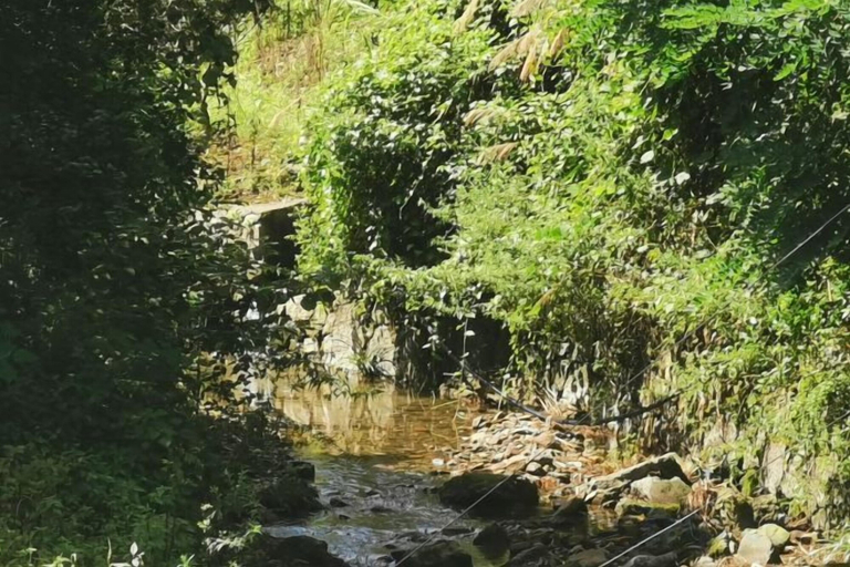 Others 4, Yunxiu Inn, Zhangjiajie