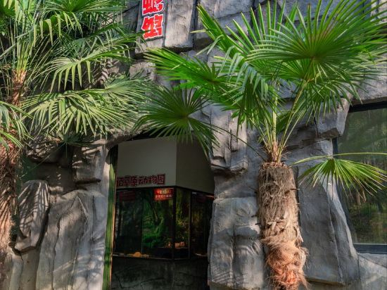 Others 4, Zhongnan Vacation East Africa Prairie Hotel, Huzhou