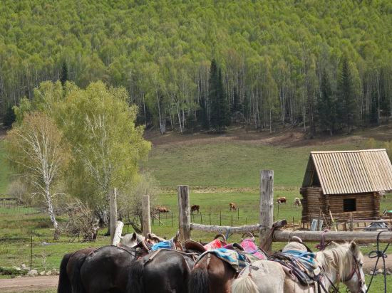 Fitness & Recreational Facilities 4, HeMu xinfuyuanzi, Altay