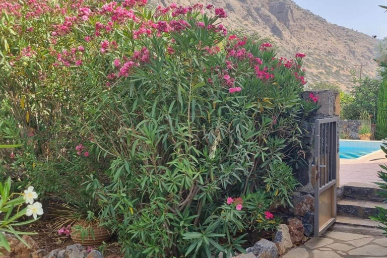 Property grounds 4, Plaka Elounda ..private Pool ..2 Beds..jaccuzi..parking..spinalonga/sea Views, Crete