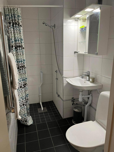 Bathroom, Rut & Ragnars Vandrarhem, Malmö
