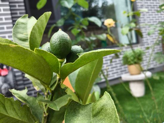 Others, Jizhou Guojiagou Tangqiyuan Homestay, Tianjin