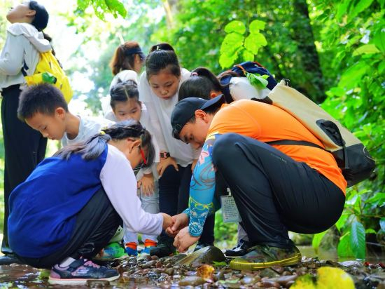 Fitness & Recreational Facilities 4, XI SHUANG BAN NA MENG YUAN PARADISE GREEN TREASURE HOTEL, Xishuangbanna Dai