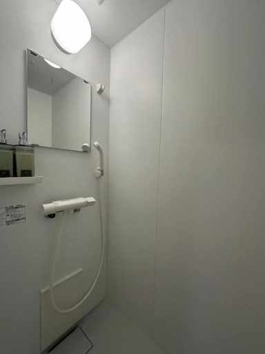 Bathroom 4, AND HOME, Osaka