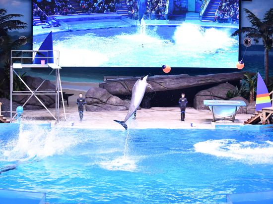 Others 2, Ocean Style Holiday Hotel (Wuhan Polar Ocean World), Wuhan