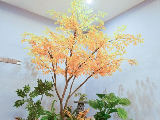 Hotel Interior/Public Areas 3, Fengwuqi Hotel (Kashgar Approval Bureau Branch), Kashgar