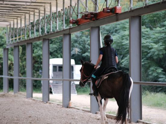 Fitness & Recreational Facilities