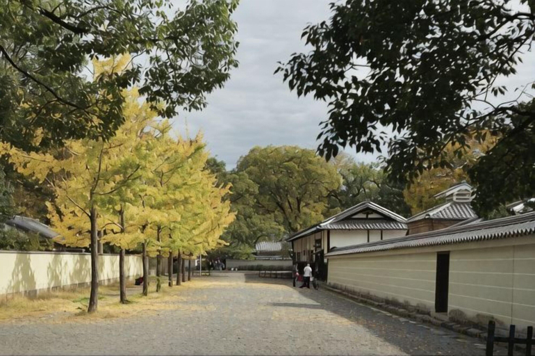 Others 5, Tsurui Goshonishi, Kyoto