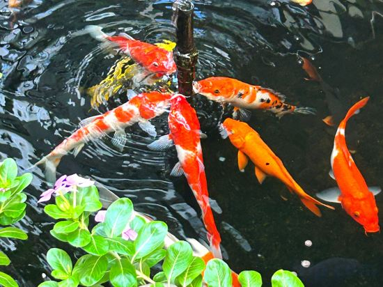 Others 2, KA Villa & Spa, Beachside Hoi An, Da Nang
