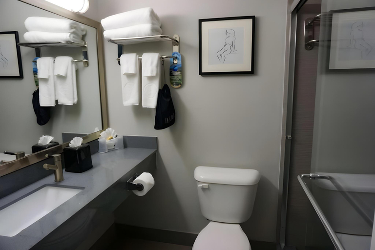Bathroom 5, Mikado Hotel - Universal Studios/Burbank, Los Angeles