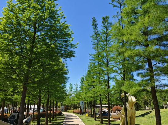 Fitness & Recreational Facilities 3, JI Hotel (Luoyang Wanda Plaza), Luoyang