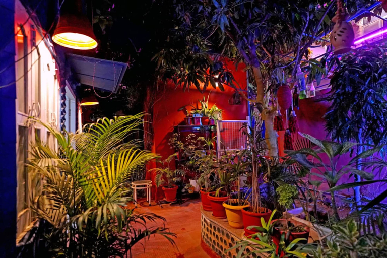 Garden, Jannat Residency, Jodhpur