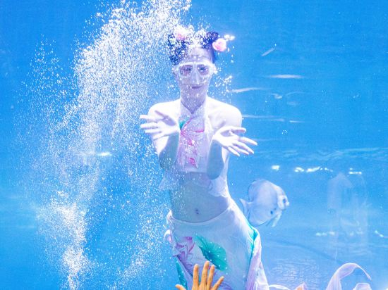 Others 3, Yinxian Resortel, Dongguan