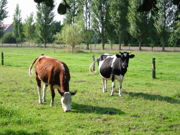 Miscellaneous 5, Holiday Home With 1 Bedroom, Dahme-Spreewald